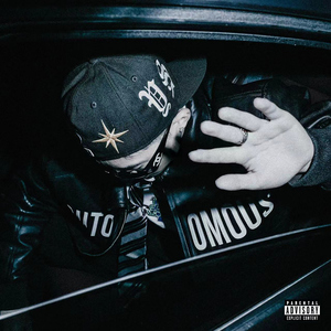 廖承宇《大雕》
