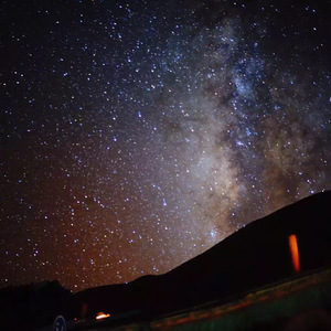 廖承宇《大雕》
